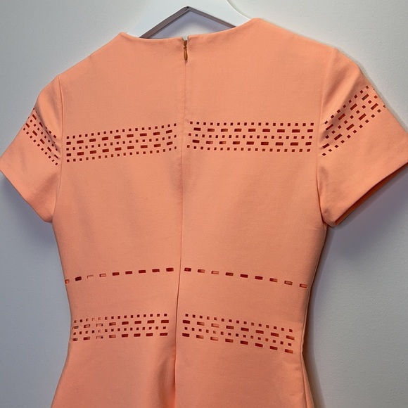 Elizabeth and James Laser Cutout Ari Dress Size 4 - Picture 15 of 17